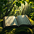 Article: Verses in the Verdure: The Quran Amidst Eternal Green